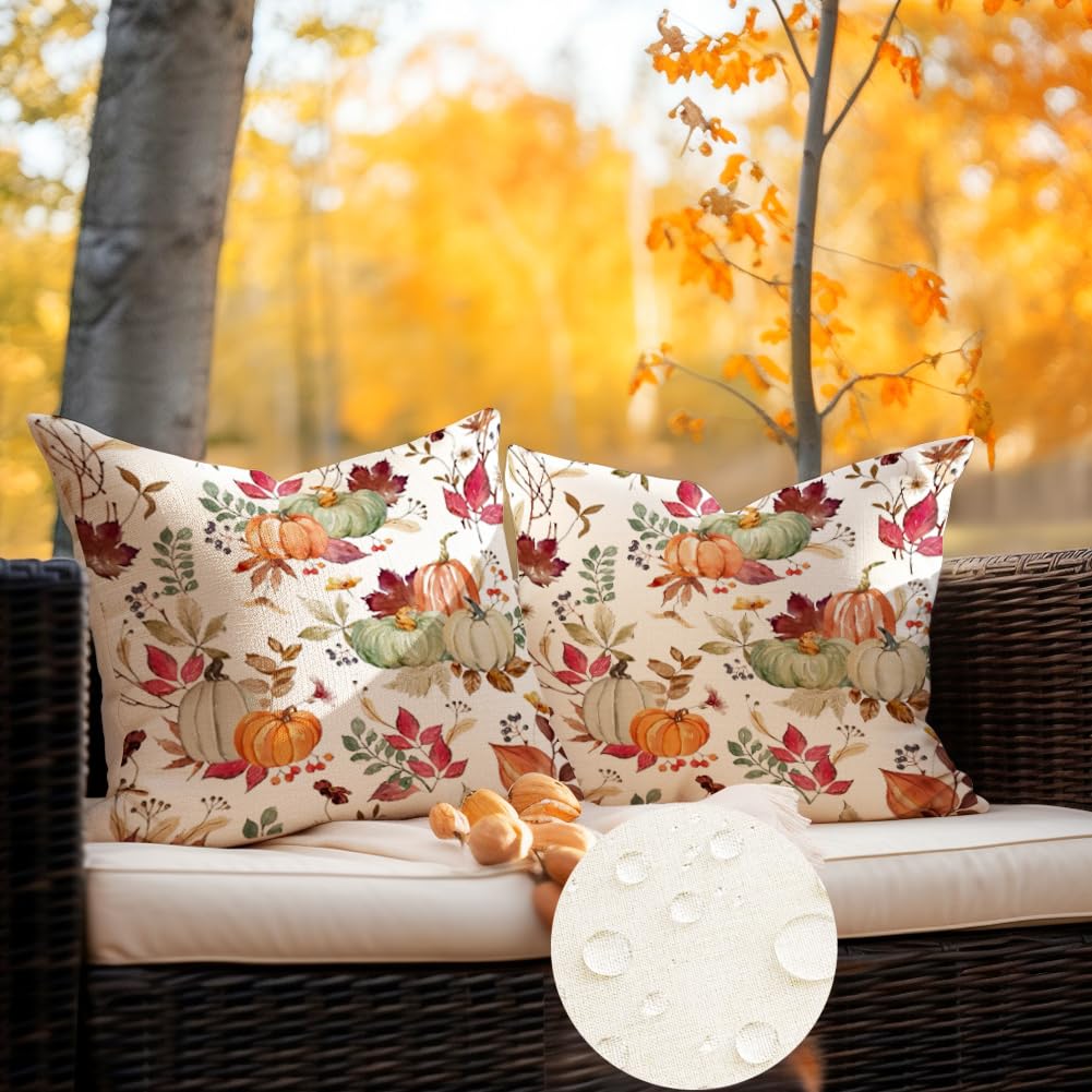 RABUSOFA Outdoor Waterproof Fall Pillow Covers 18x18 Inch,Fall Outdoor Pillows Case Set of 2,Pumpkin Autumn Thanksgiving Throw Pillows for Porch Maple Leaf(9-18)