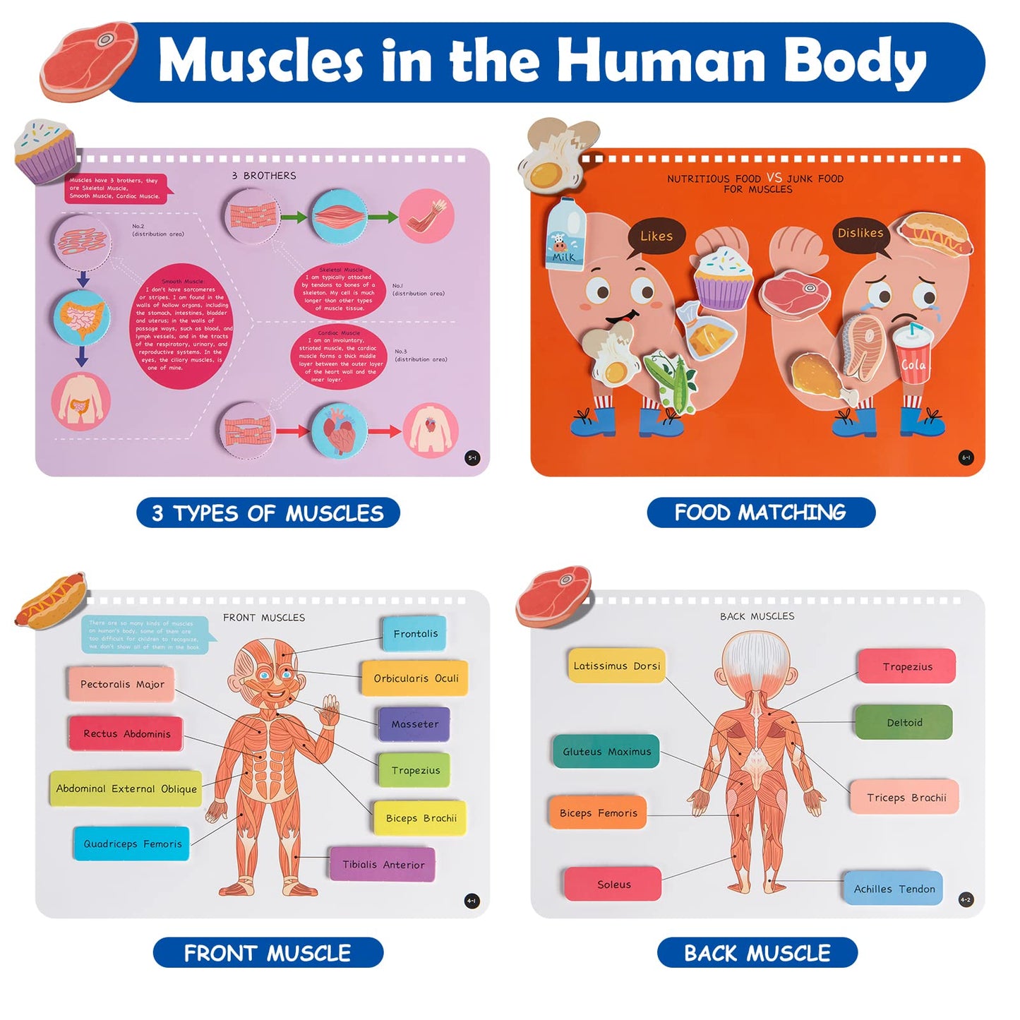 Freebear Montessori Busy Book for Kids, Human Body Anatomy Book for Toddlers, Preshool Kindergarten Learning Activities, Autism Sensory Toys, Gifts for Girls and Boys 4 5 6 7 Years - Human Body System