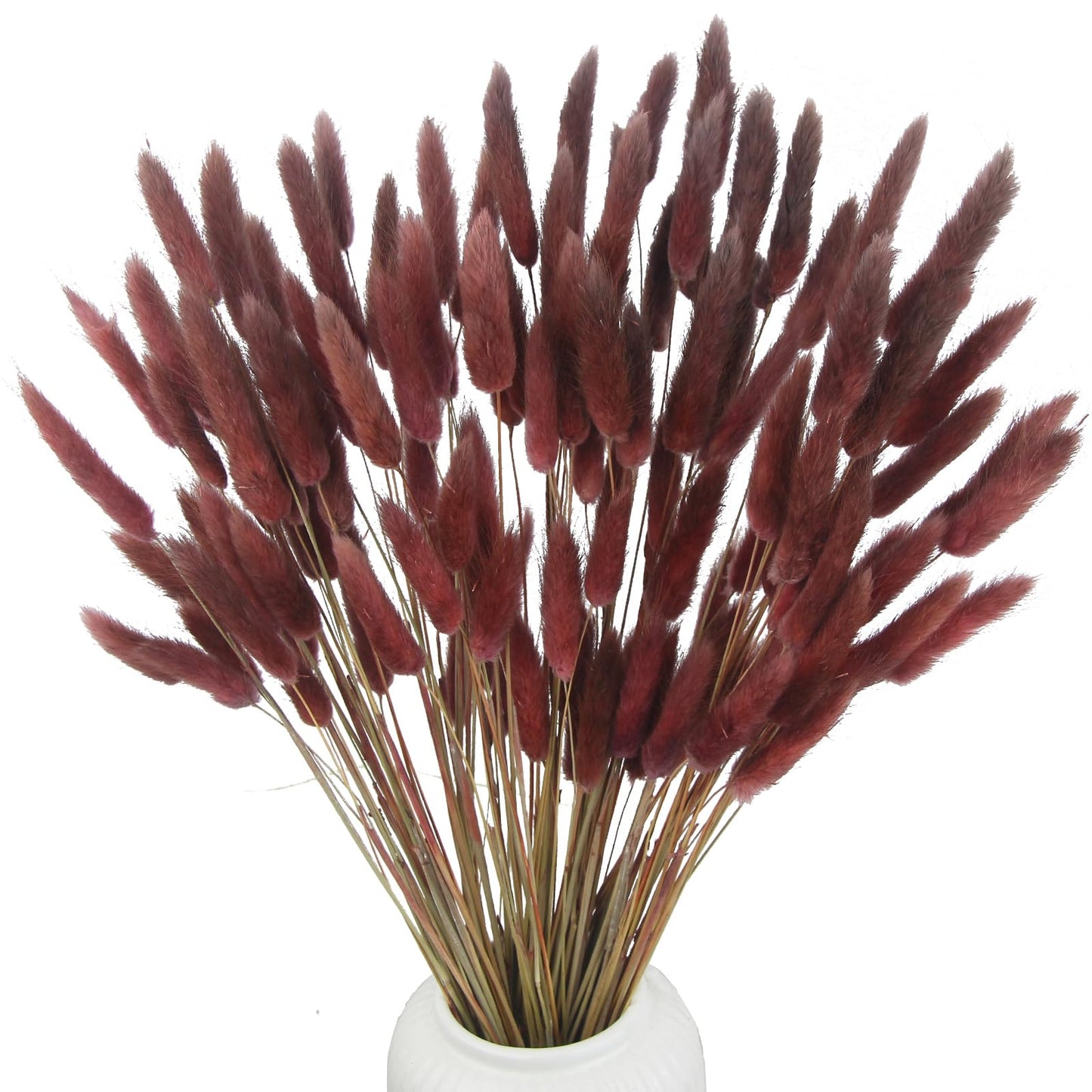 CITYES 120 Pcs Dried Bunny Tails Flower Lagurus Ovatus Natural Dried Flowers Rabbit Tail Grass Dried Pampas Grass Floral Arrangement for Boho Decor Wedding Home DIY Farmhouse Table Dark Brown