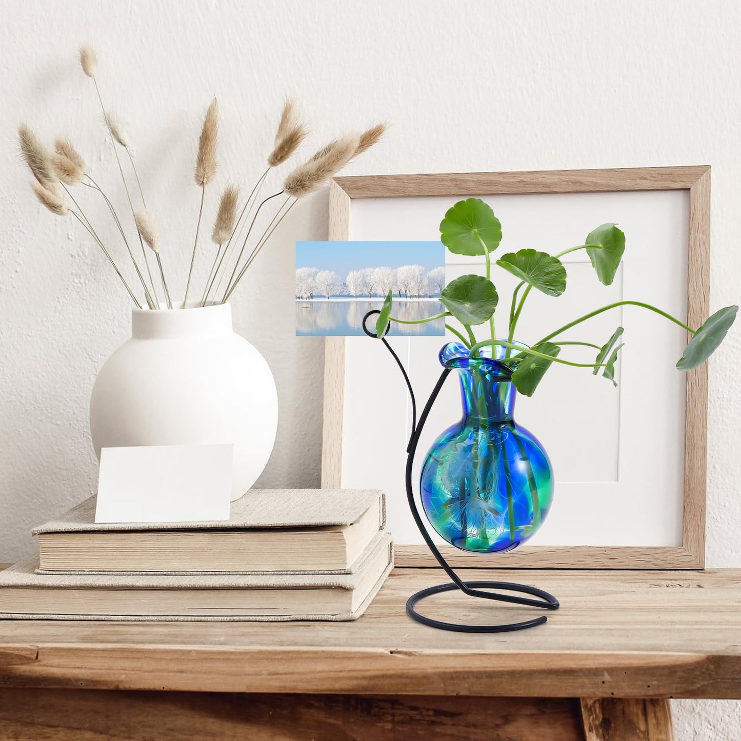 Pozfun Hand Blown Glass Plant Propagation Station with Metal Stand and Photo Holder,Tabletop Plant Terrarium for Propagating Hydroponic Office Garden Home Decor, Gifts for Women Plant Lover