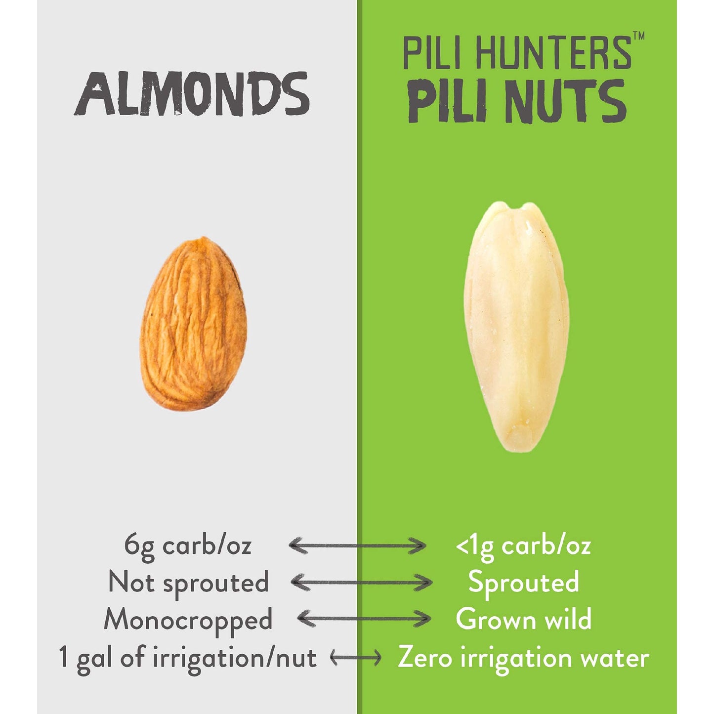 Pili Hunters - Wild Sprouted Pili Nuts (Pack of 5, 1.85 oz Bags) Variety Flavors (Pink Himalayan Salt, Raw Cacao, Rosemary, Avocado Oil, Coconut Oil) Vegan, Keto, Paleo Snack for Low Carb Energy