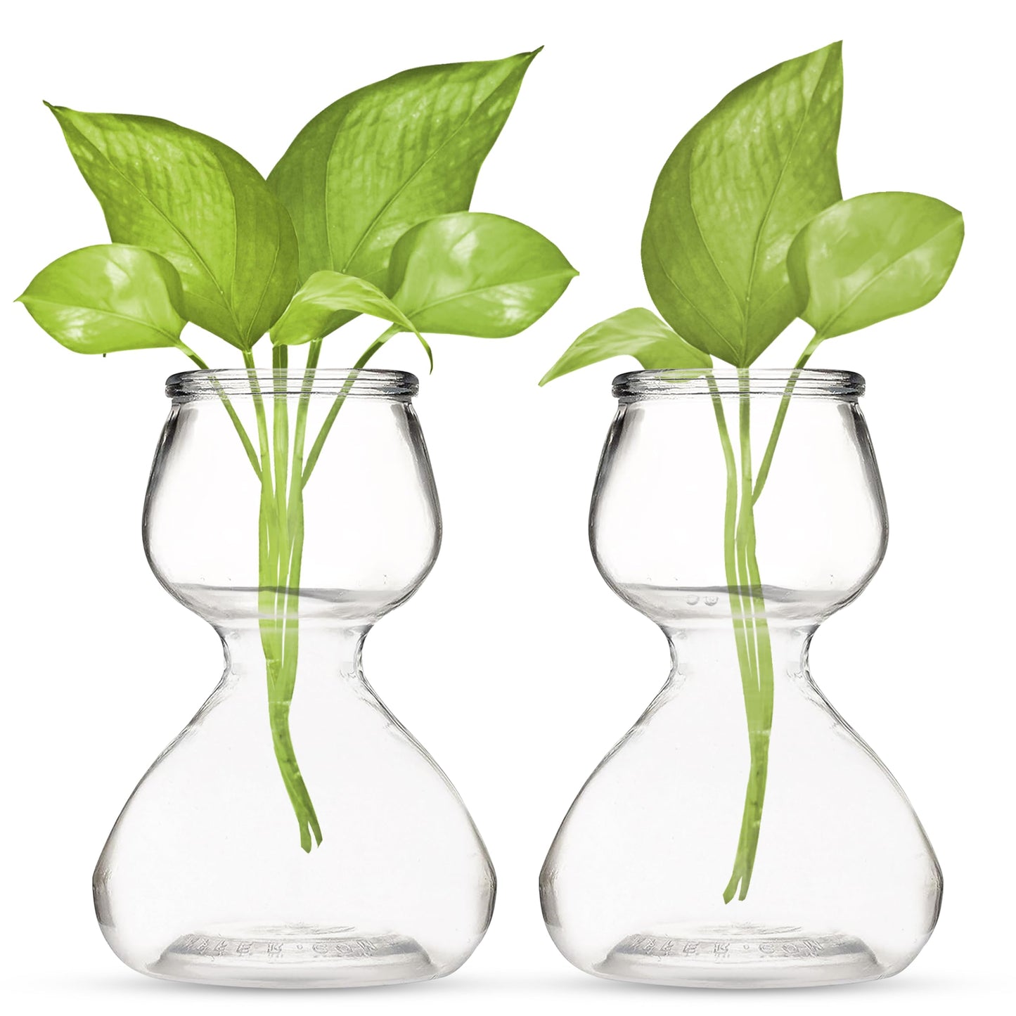 Garden Guru Plant Propagation Stations – Self-Standing Hourglass Glass Vases for Hydroponic Plant Growth – Unique Double Bubble Design for Home Decor (Set of 2)