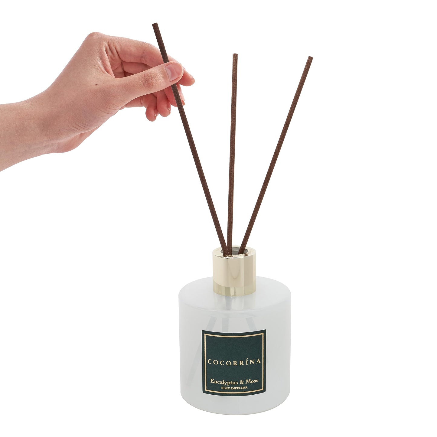 Cocorrína Reed Diffuser Sets- Eucalyptus & Moss Scented Diffuser with Sticks Home Fragrance Reed Diffuser for Bathroom Shelf Decor