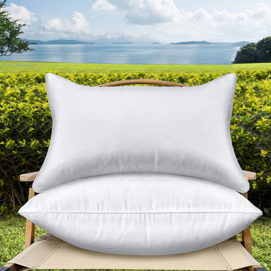 18 x 18 Outdoor Throw Pillow Inserts Set of 2 Waterproof Square Premium Decorative Couch Pillow Stuffers Form Medium White Sofa Cushions Indoor