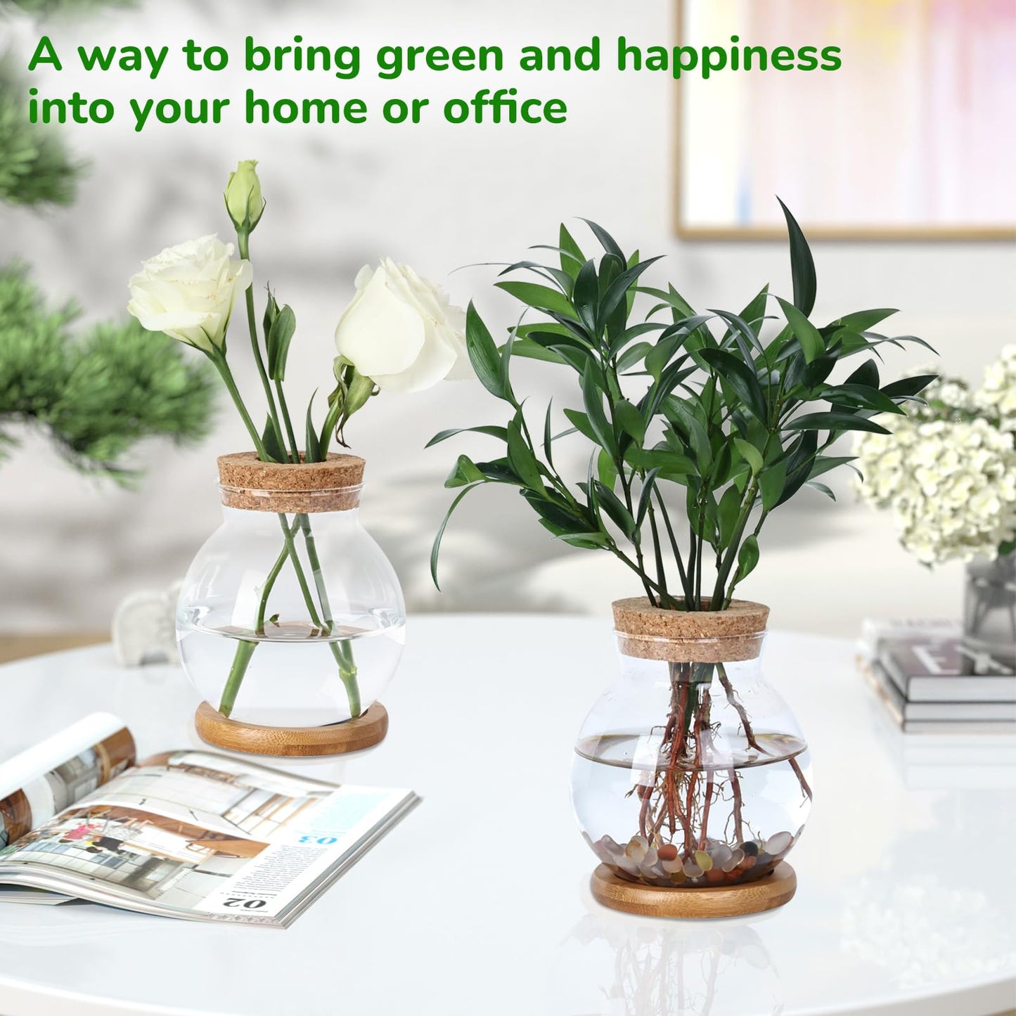 Pechaut Propagation Station, Larger Capacity Ball Vase with Base for Hydroponic Plants, Home/Office Decor & Gift for Plant Lovers, 2pcs Glass Terrariums