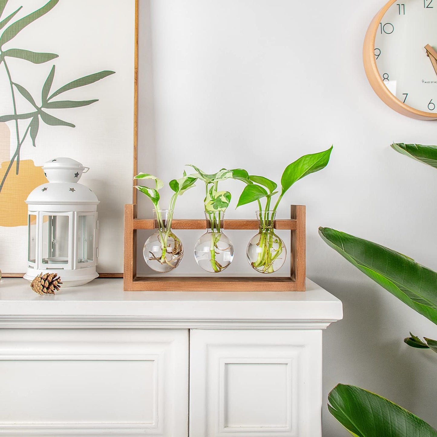 Plant Propagation Station,Plant Terrarium,Plant Starter,Gifts for Plant Lovers,Glass Bulb Terrarium with Retro Solid Wooden Stand for Hydroponics Plants Home Garden Wedding Décor (3 Bulbs)