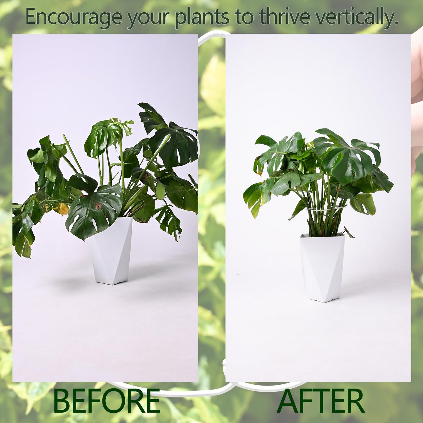 Yohsnor 5PCS Monstera Plant Stem Support White - 11x9.4 inches, Durable Adjustable Leaf Supports for Indoor Plants, Fishbone Cactus Stake Holder for Garden Stability