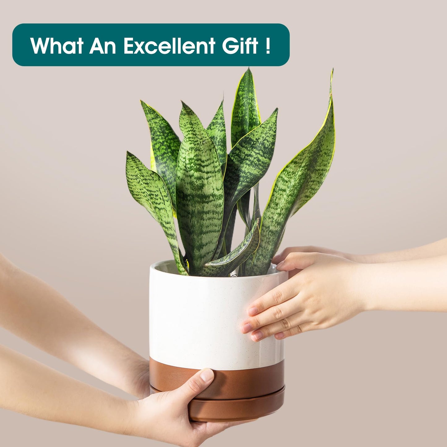 vancasso Ceramic Pots for Plants, Plant Pots for Indoor Plants, 6.25+8.25+10.25 Inch Ceramic Planters, Flower Pots with Drainage Holes, Planters Pot for Indoor House Plants, Set of 3, Khaki