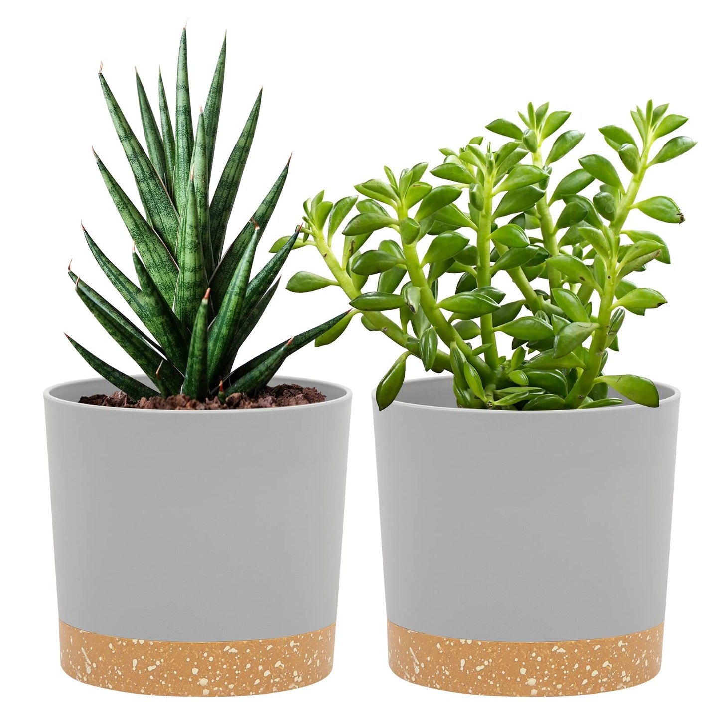QCQHDU 6.5 inch Plant Pot, 2 Pack Planters for Indoor Plants with Drainage Holes & Saucer, Outdoor Flower Pots Home Garden Modern Decor