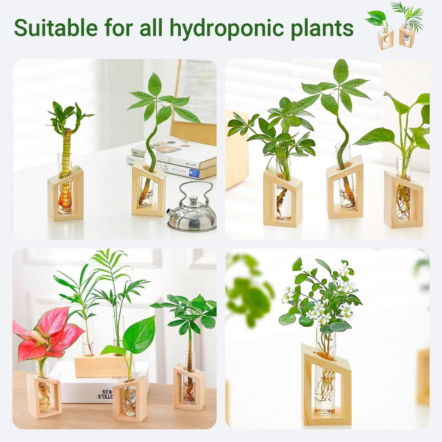 Ivolador Plant Propagation Station, Plant Propagation Tubes,Gifts for Plant Lovers,Plants Cutting Holder Office Desk Garden Décor Gifts for Mom Women Hydroponic Vase Gift Box