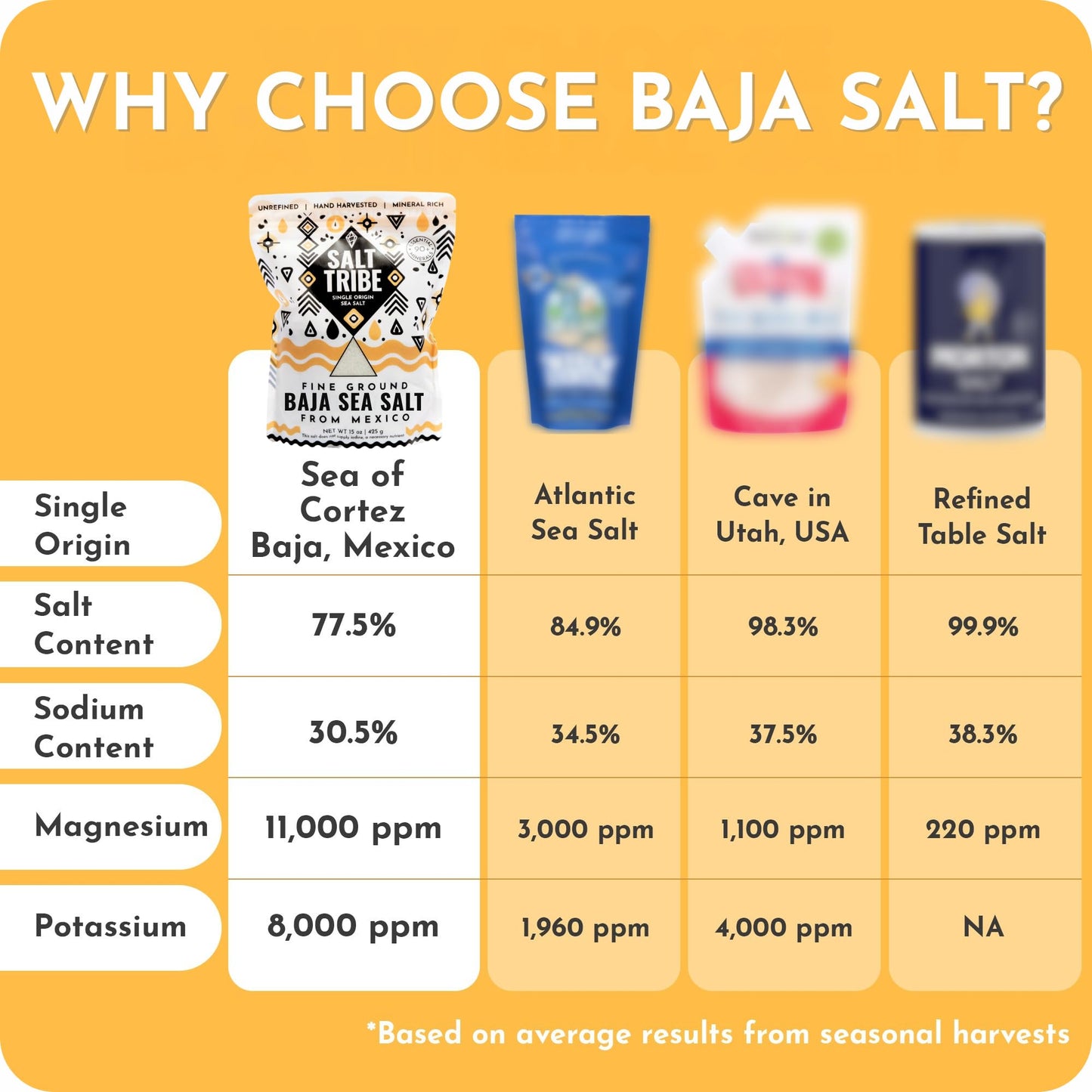 Salt Tribe™ | Baja Sea Salt | Mineral Rich | 90+ Trace Minerals | Fine Ground | Hydration Support | Sal Organica | Low Sodium | Organic & Unrefined | Single Origin Mexico (8 Ounce)