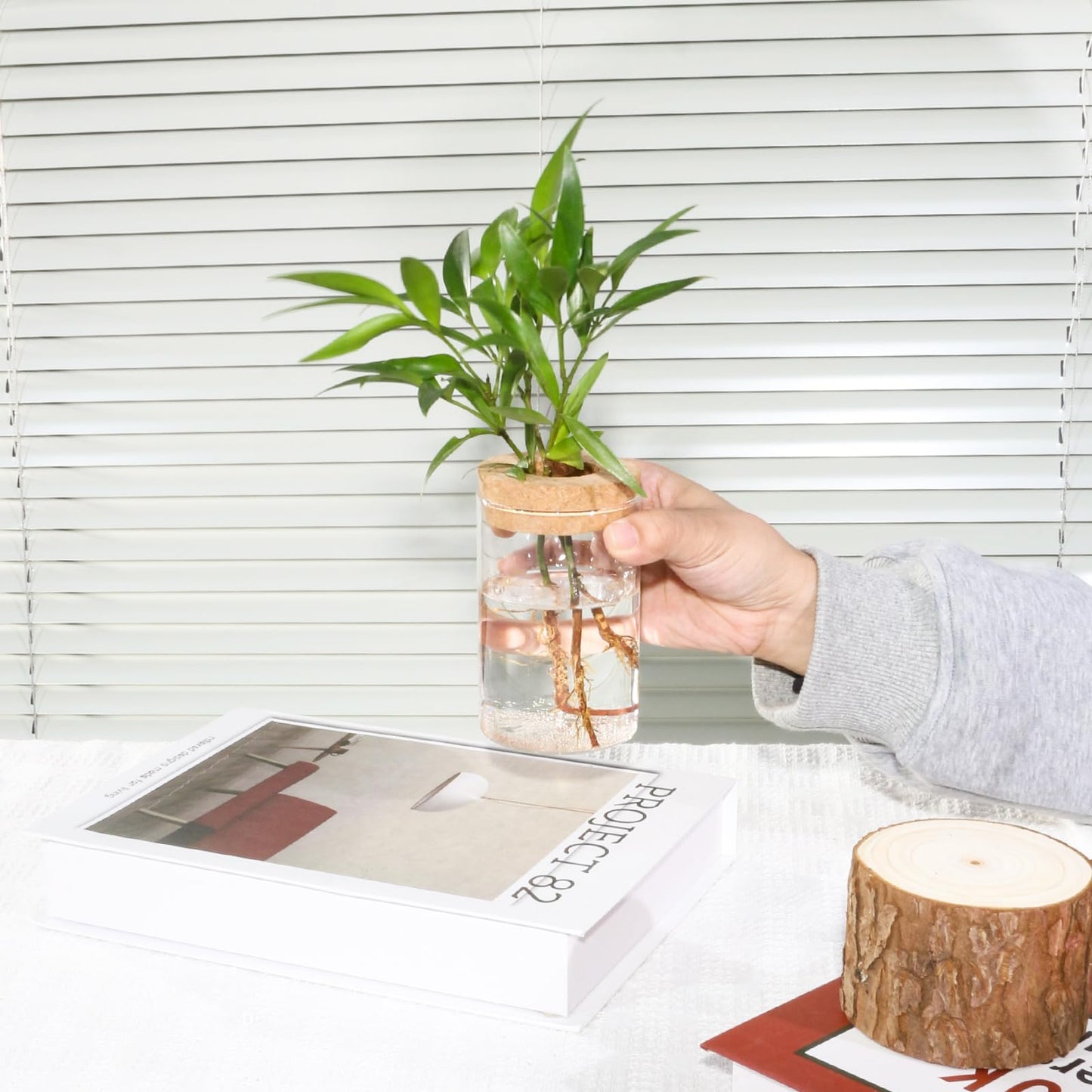 wangsdjy Separated Desktop Glass Flower Vases - Ideal Plants Propagation Stations for Living Room, Bedroom Decoration,Home Decor (2)