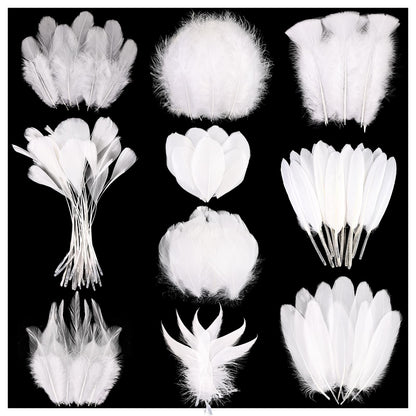 FeelfunFeather 300 pcs Black Craft Feathers- 10 Style Mixed Natural Feather for DIY Earring Home Party Halloween Easter Costume Decoration