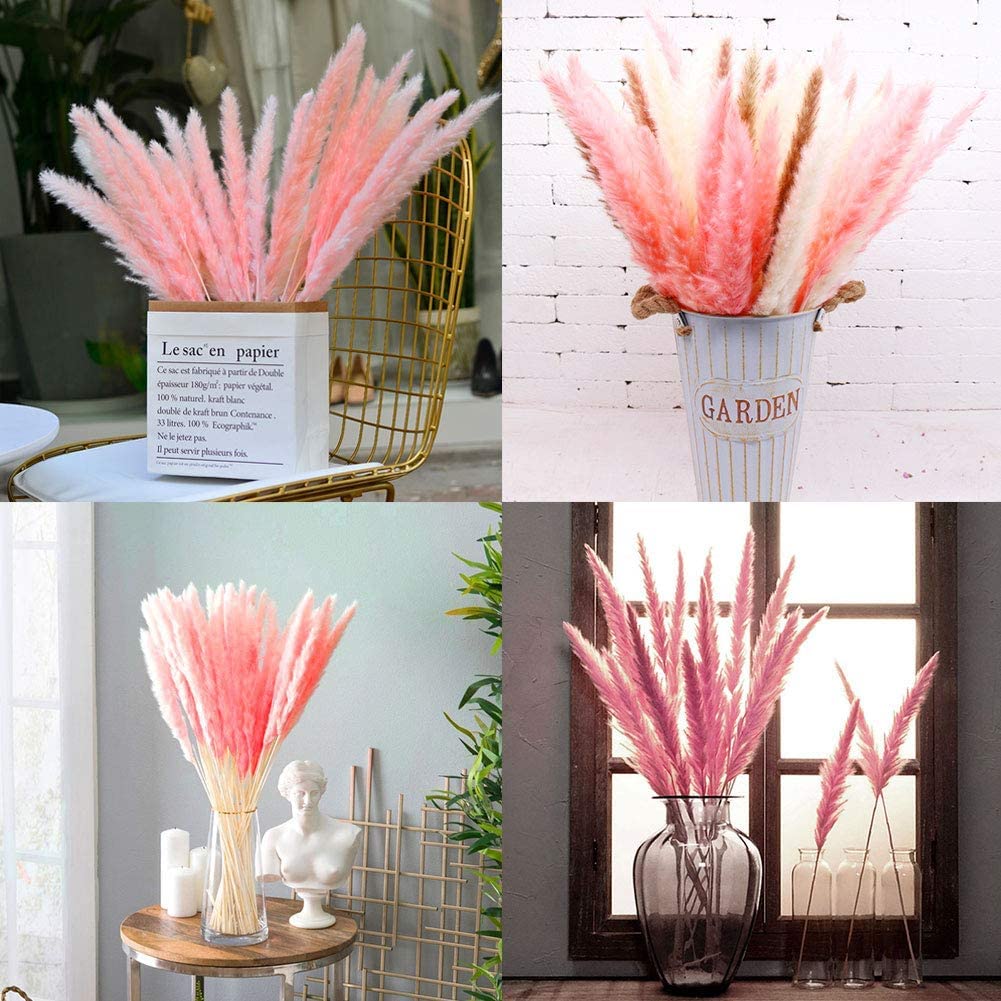 MLSG 60 Stems Pampas Grass 17.5",Natural Dry Flowers Small Pampas Grass Branches for Vase Flower Arrangement Wedding Kitchen Home Decor（Pink）