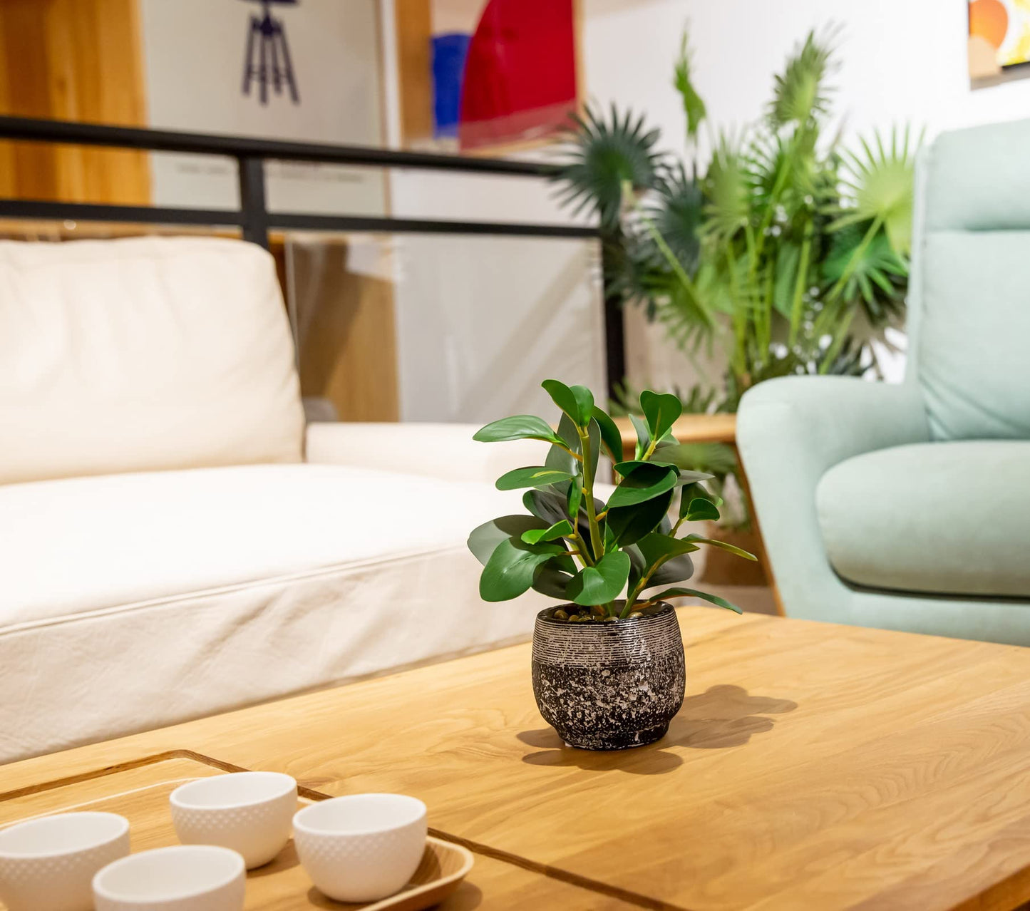 AlphaAcc Artificial Plants Potted Real Looking Small Faux Plant with Rustic Black Cement Planter for Kitchen Office Desk Bookshelf Decor (Ficus Plant)