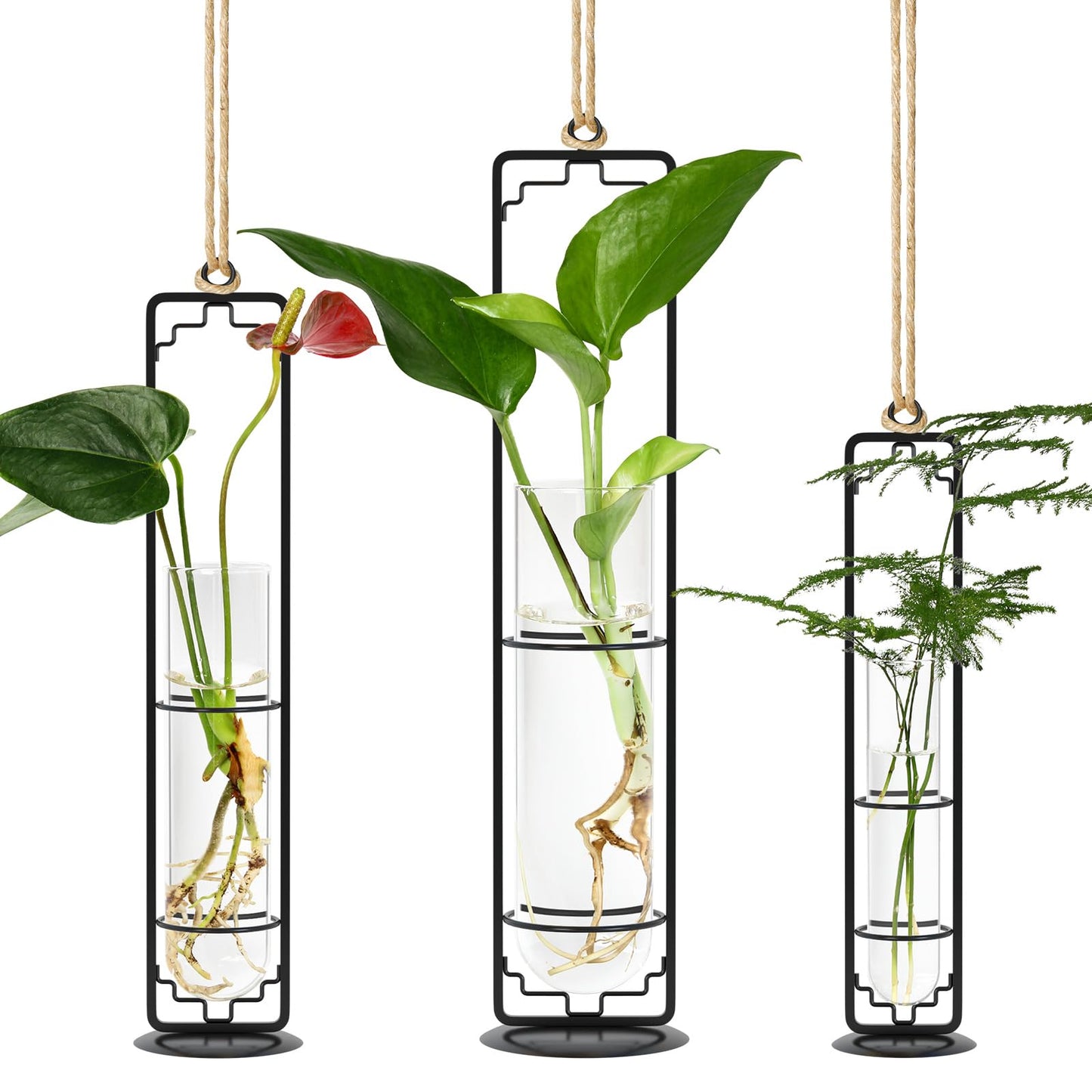 MIPON Plant Propagation Stations,Hanging Glass Propagation Test Tube Vases for Plants with Gold Metal Stand for Hydroponic Cutting Home Garden Office Decor-Black