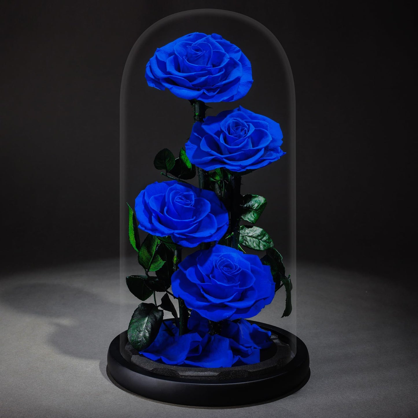 4 Preserved Flowers in Glass Dome - Roses Gift for Her - Birthday Flowers for Women, Blue