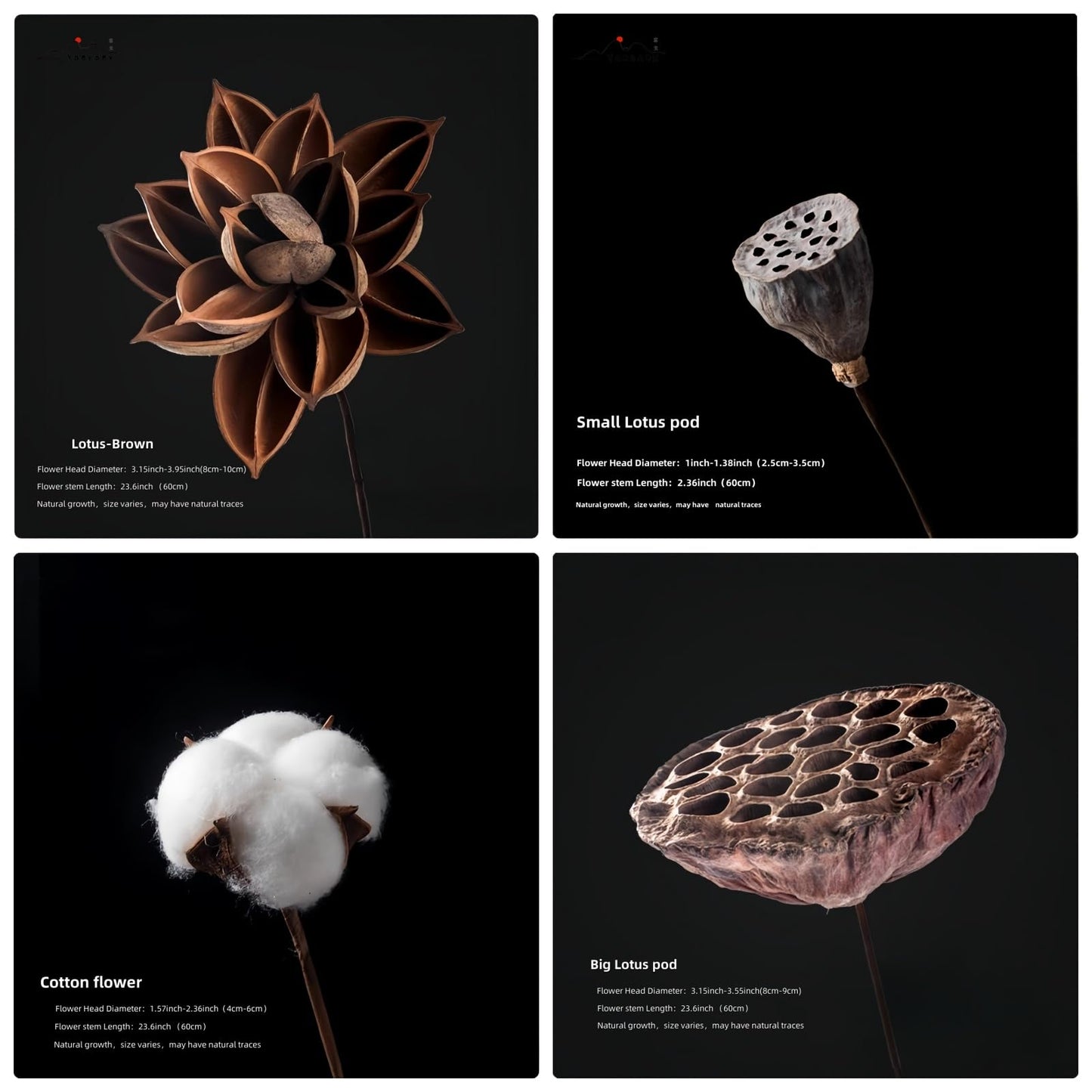 YAOBAOX 5004 Handmade Natural Dried Flowers Decor, for Modem Home Table Vase Decor, Farmhouse Party Floral for DIY Arrangement Props Gift Décor Ikebana (Flower Head and stem are Separate)