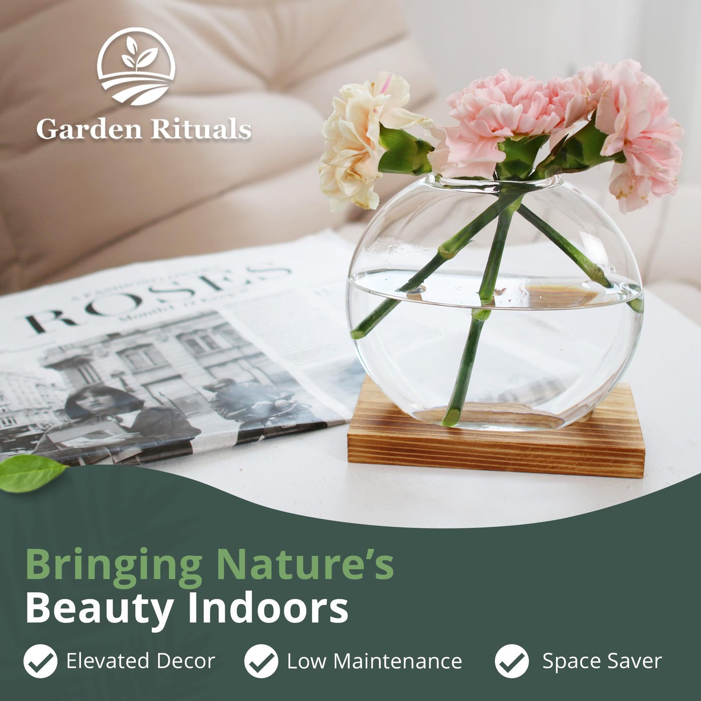 Garden Rituals - Plant Propagation Station Vase, Glass Terrarium Jars, Modern Hydroponic Planters for Indoor Plants, Desktop Glass Pots for Plants Round Vases Plant Holder Home Office Decor, 1Vase