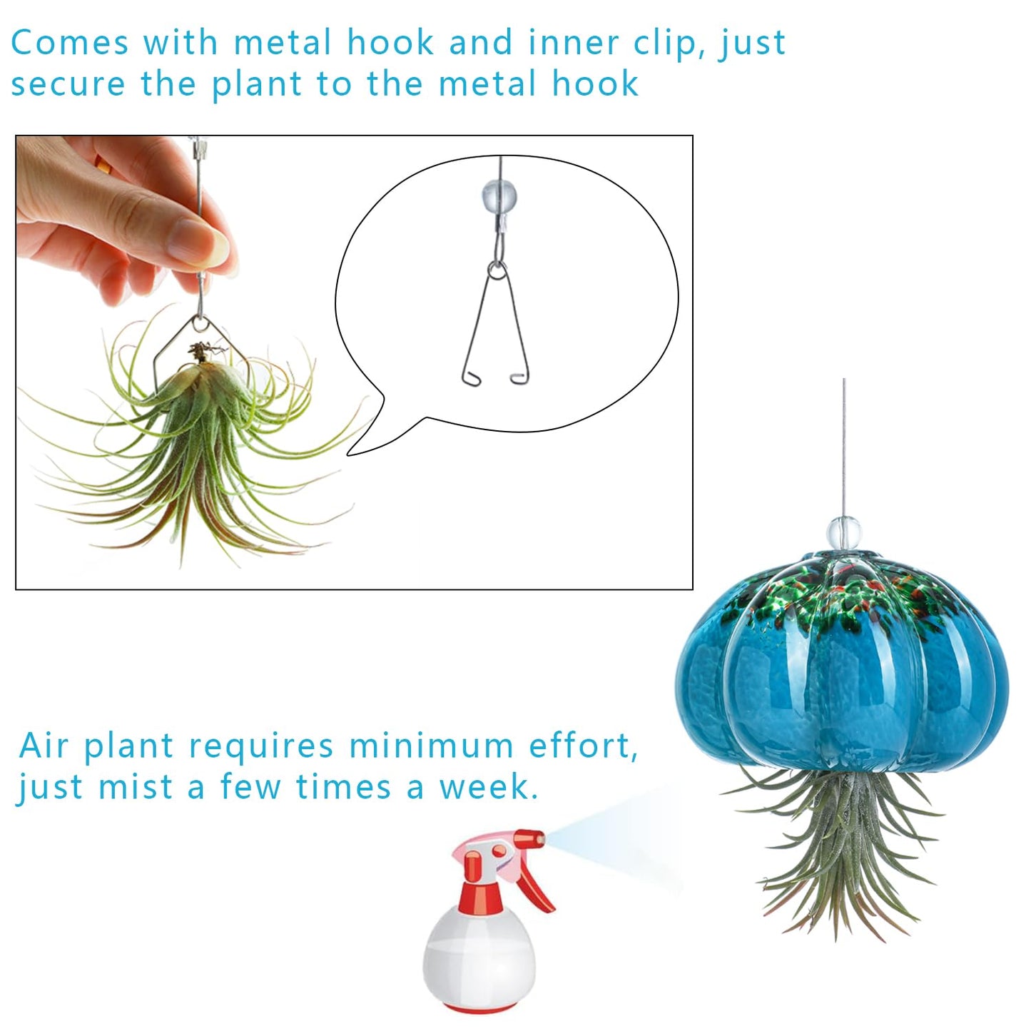 H&D HYALINE & DORA Handmade Blown Glass Hanging Jellyfish Air Planter for Live Succulent Air Plants (No Plants)