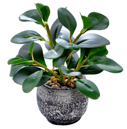 AlphaAcc Artificial Plants Potted Real Looking Small Faux Plant with Rustic Black Cement Planter for Kitchen Office Desk Bookshelf Decor (Ficus Plant)