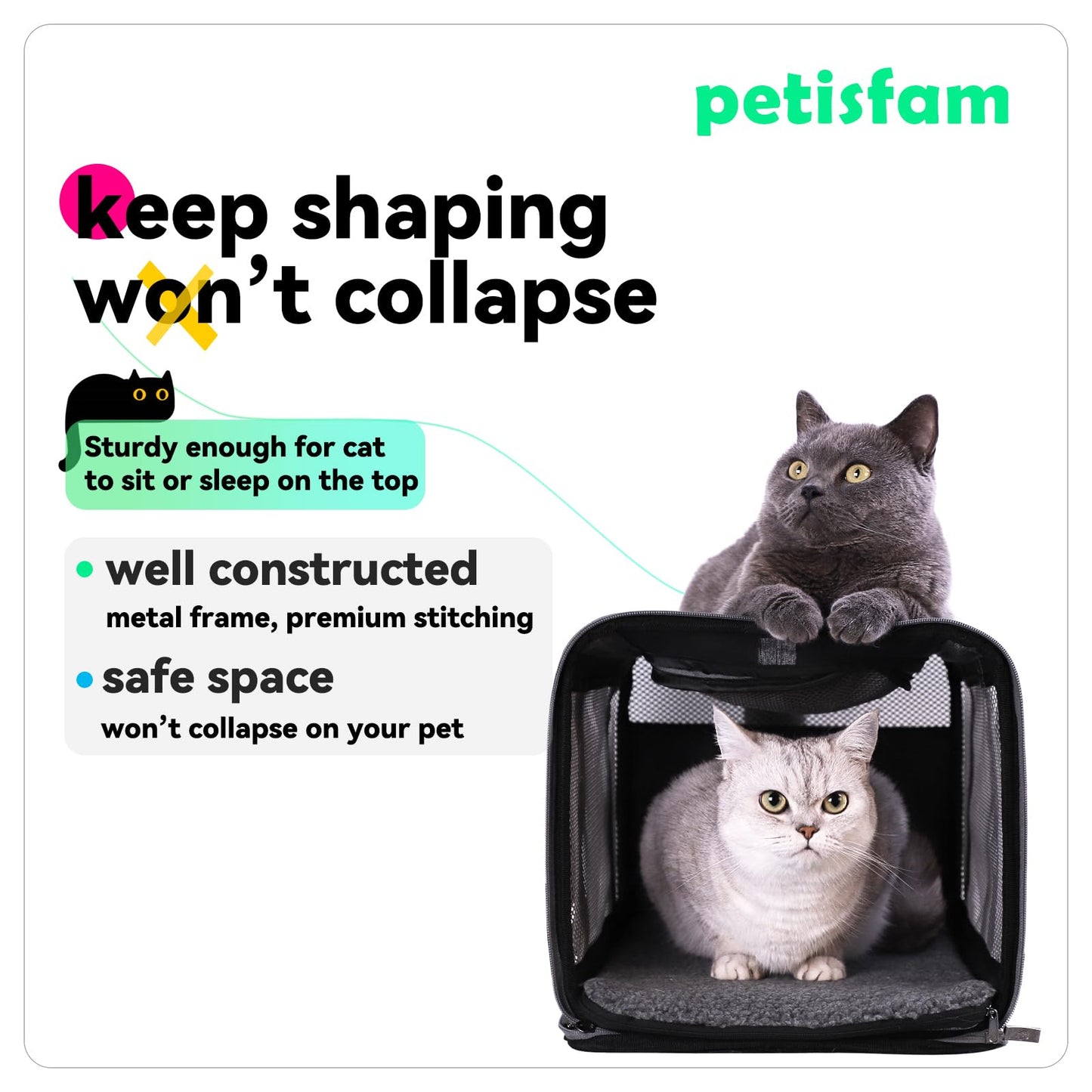 petisfam Soft Pet Carrier Bag for Cats and Puppy Under 20 lbs. Sturdy, Safe, Comfortable and Lightweight