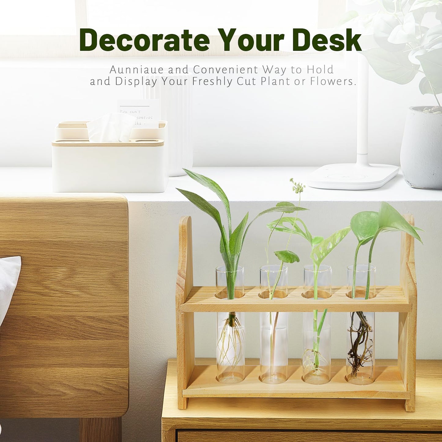 Plant Propagation Station Glass Container for Plants with Wooden Rack Hydroponic Planter, Small Birthday Gardening Gift for Female Moms and Plant Lovers (XXL)