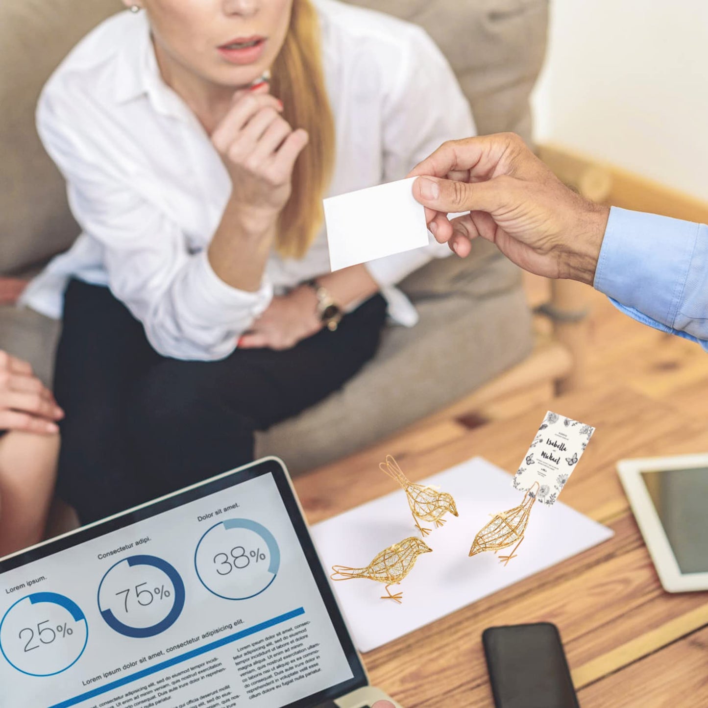 ZZZ TYLOO Artisan Handmade Gold-Wire Woven Bird Statues Trio Table Decor- Modern Farmhouse Shelf Decor with Hanging Chain, Multi-Pose Metal Bird Figurines for Home Office & Holiday Display