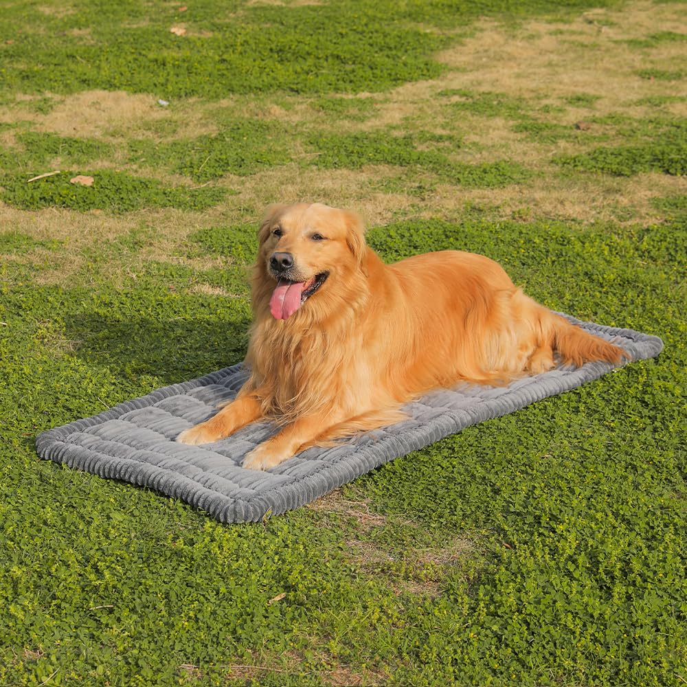 Awjcsv Dog Car Seat Cover for Back Seat, Dog Bed for Car, Fit for Backseat Extenders, Car Seat Protector, Nonslip Soft Durable for Cars Trucks and SUVs (Gray, 24.8" x 54")