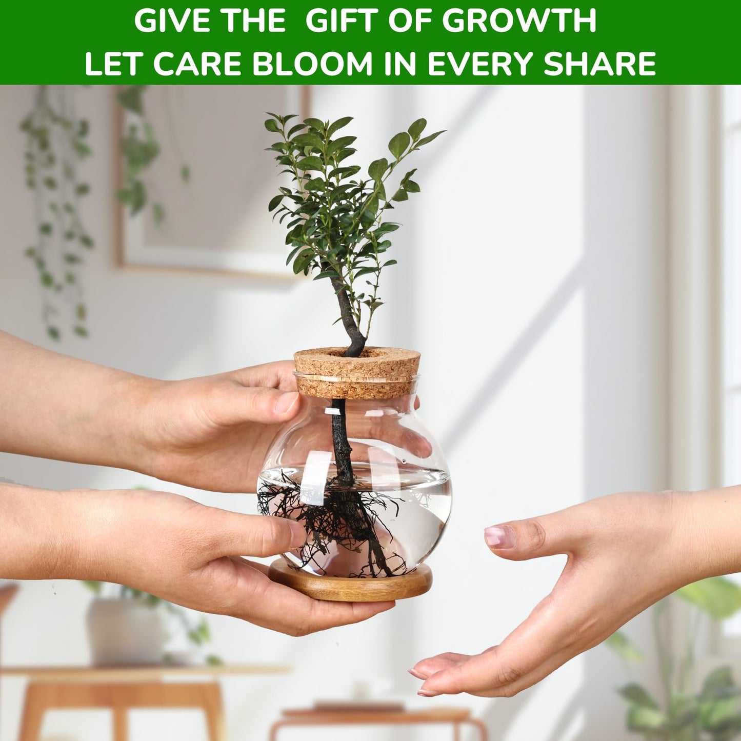 Pechaut Propagation Station, Larger Capacity Ball Vase with Base for Hydroponic Plants, Home/Office Decor & Gift for Plant Lovers, 2pcs Glass Terrariums