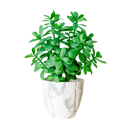 365 Blooming Decor 16 Inch Marble Pattern Potted Jade Plant - Luxury Artificial Succulent for Home, Office, Bathroom, Bookshelf Decor - Realistic Look, Maintenance-Free, Feng Shui Money Tree
