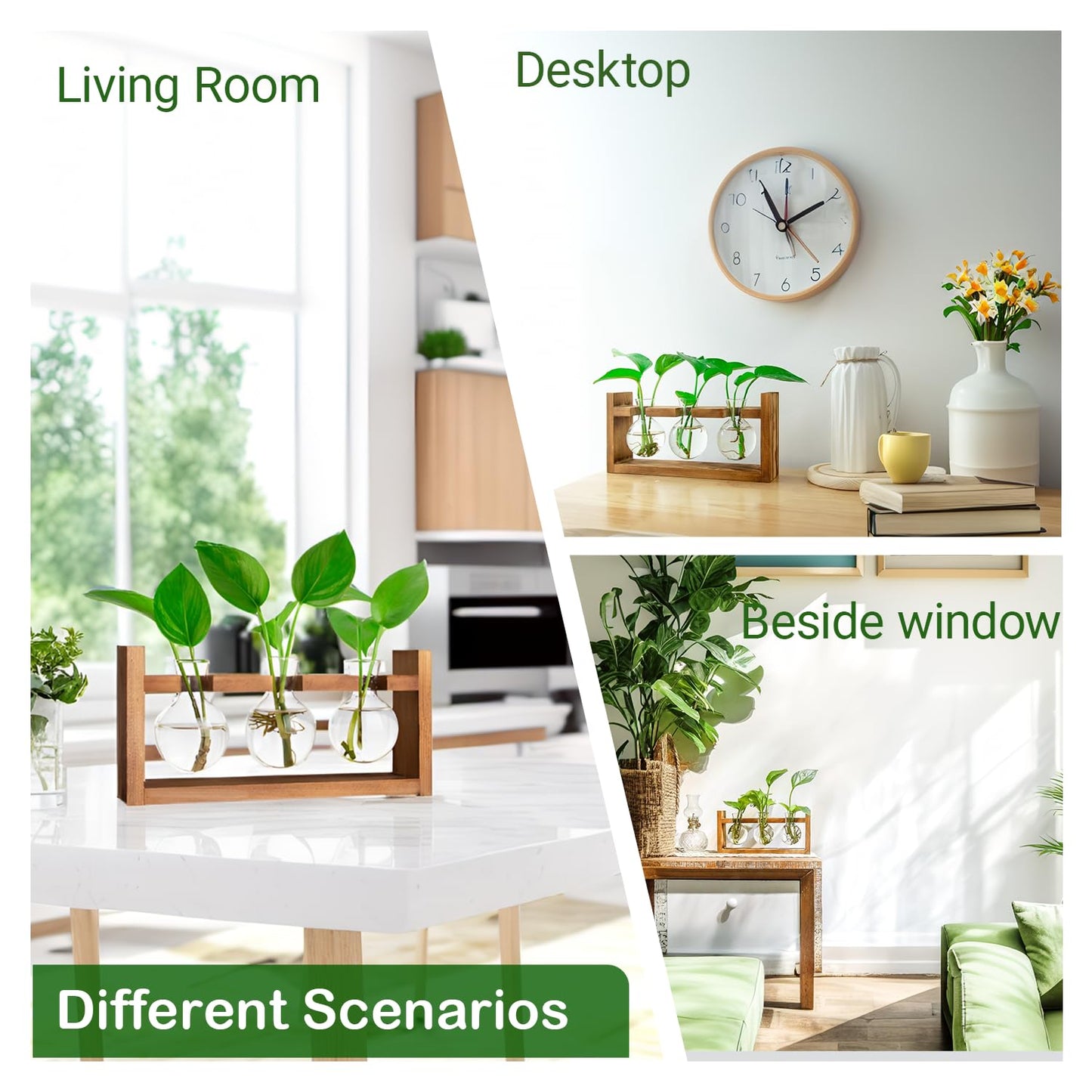 Plant Propagation Station,Plant Terrarium,Plant Starter,Gifts for Plant Lovers,Glass Bulb Terrarium with Retro Solid Wooden Stand for Hydroponics Plants Home Garden Wedding Décor (3 Bulbs)