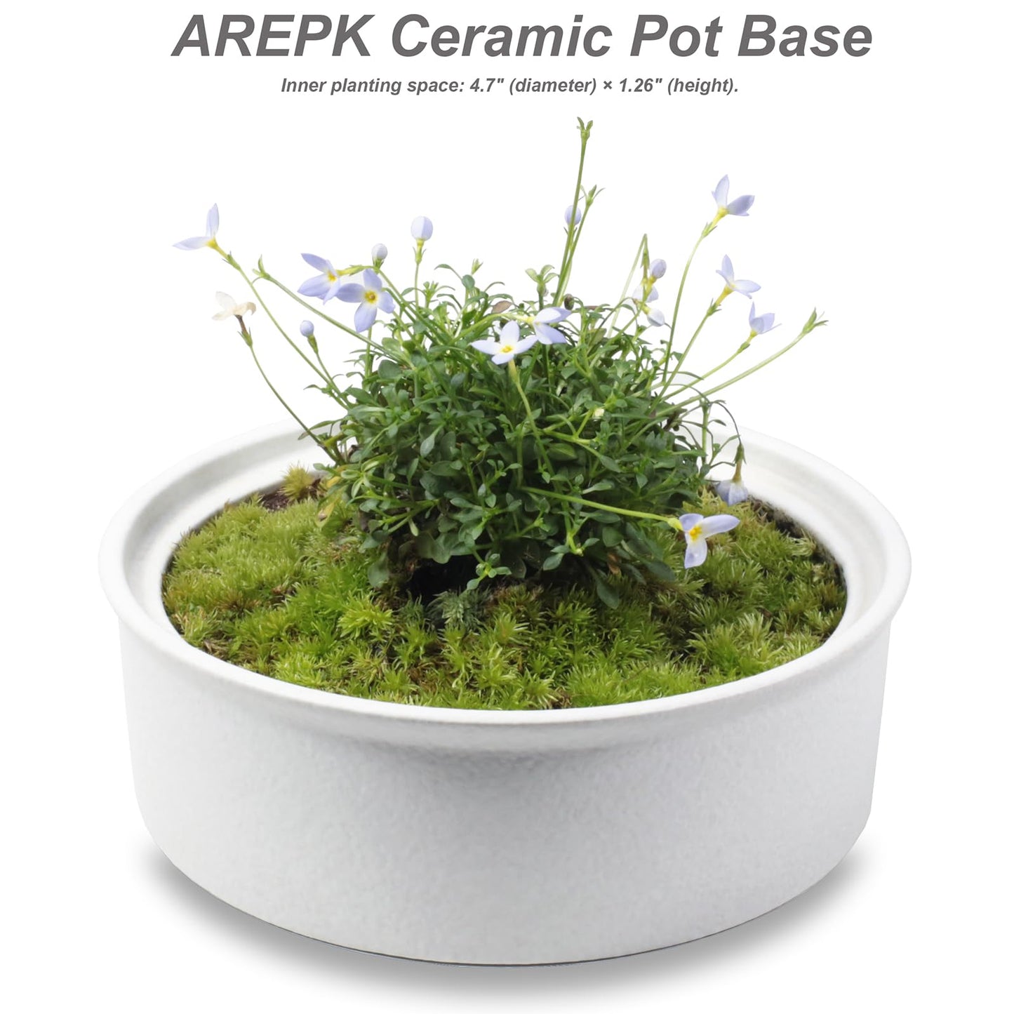 Desktop Plant Terrarium with Ceramic Base and Glass Cover (H:9.6" D:5.3"), Self-Sustaining Ecosystem for Moss, Succulent, Miniature Gardening Landscape, Indoor Decoration, Plant Lovers Gifts