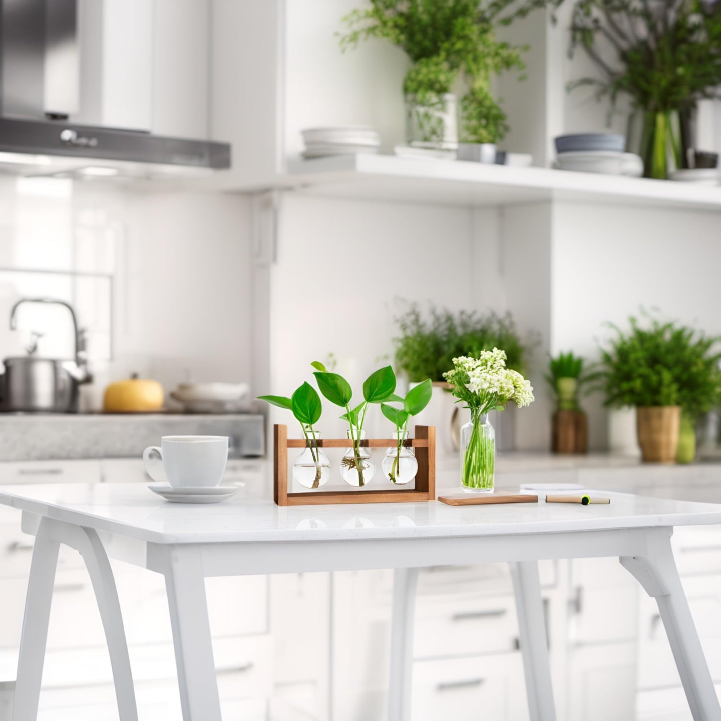 Plant Propagation Station,Plant Terrarium,Plant Starter,Gifts for Plant Lovers,Glass Bulb Terrarium with Retro Solid Wooden Stand for Hydroponics Plants Home Garden Wedding Décor (3 Bulbs)