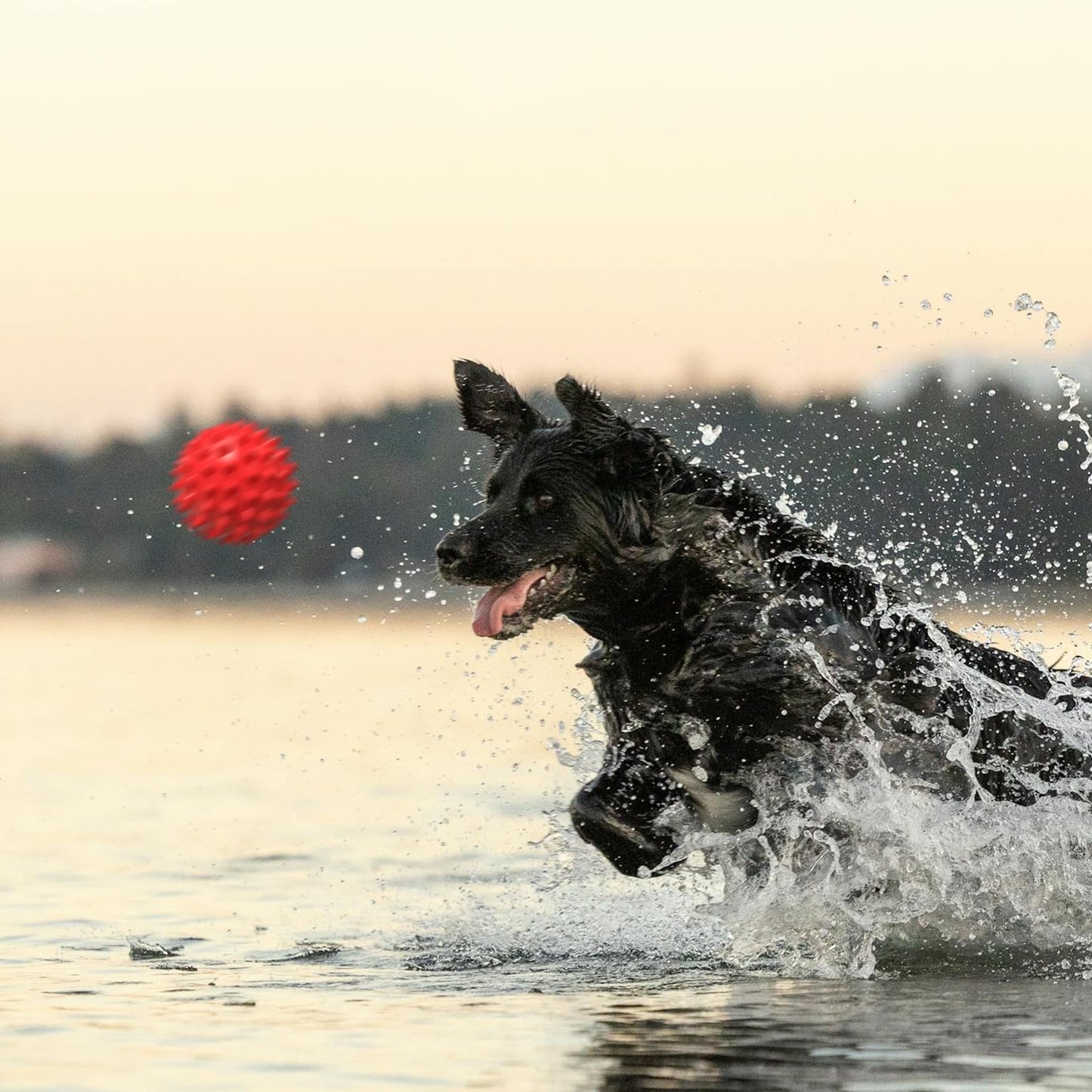 Apasiri Beef-Flavored Durable Dog Ball for Aggressive Chewers, Tough Squeaky Rubber Toy for Pitbulls Large & Medium Breeds