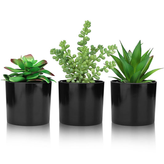 Hopewood Artificial Succulents Faux Potted Plant Decor, Small Fake Plants in Black Pot, Realistic and Lifelike for Book Shelf, Desk Decor, Home Office, Kitchen, or Bathroom Decor - Pack of 3
