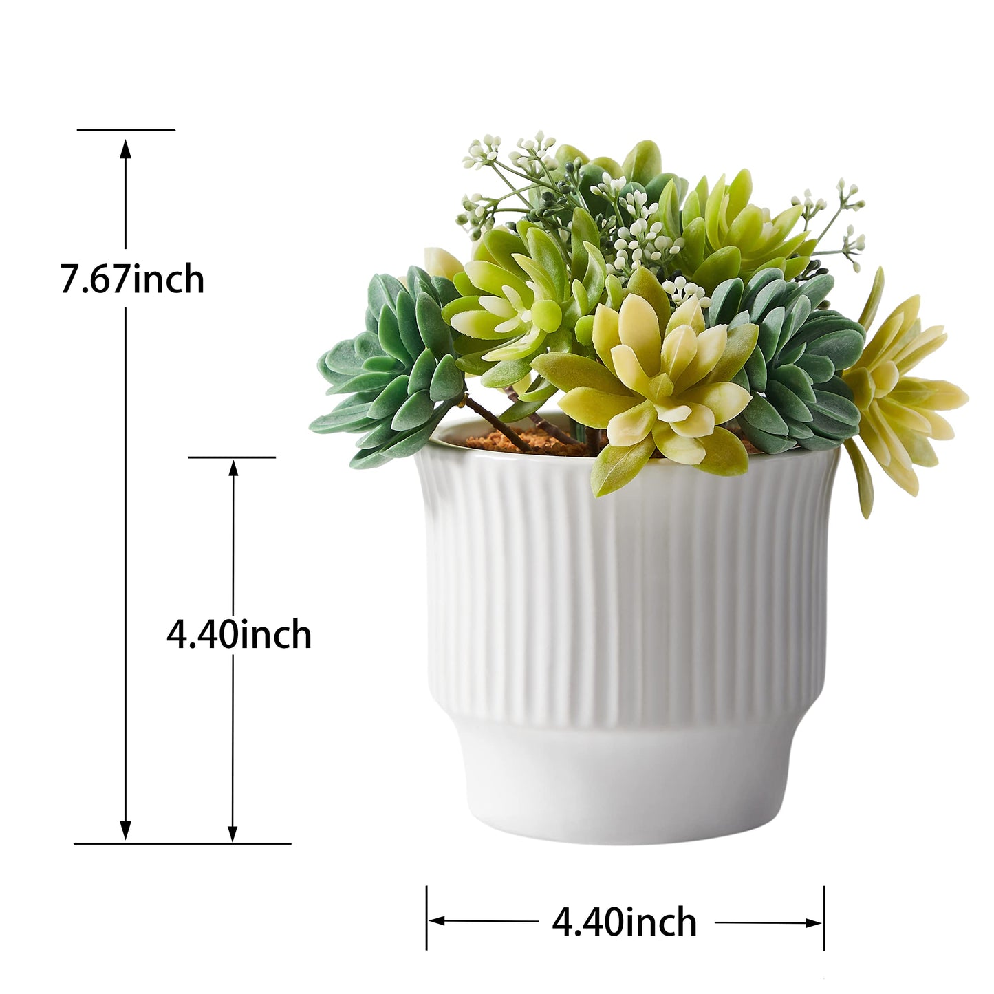 ASTRIDIA Artificial Succulent Plants, Faux Assorted Succulents Fake Plants in White Ceramic Pots for Home Decor, Bedroom, Office, Desk, Living Room, Set of 2