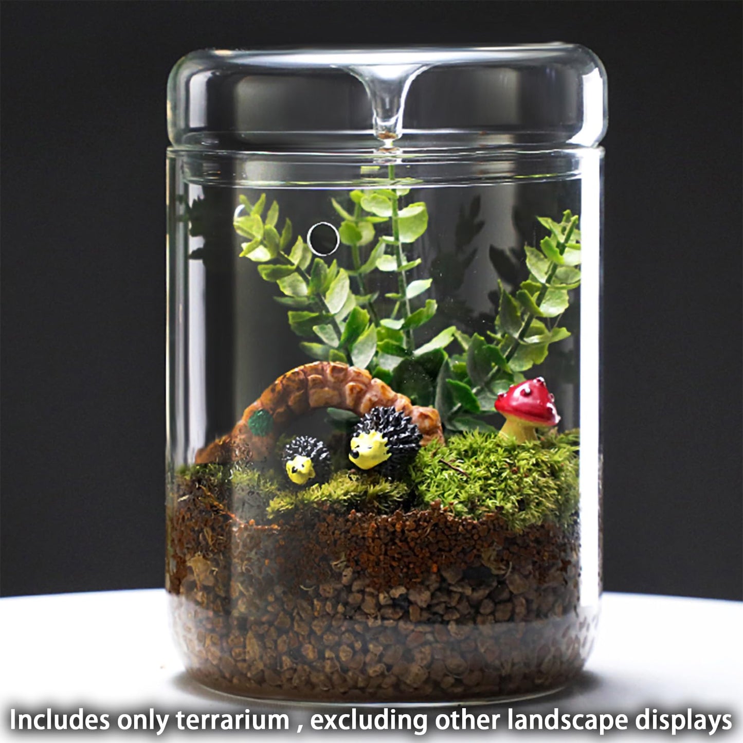 SARUFO Small Glass Plant Terrarium 4.7"X7" Inches Succulent Air Planter Fern Moss Micro-Landscape Vase for Home Garden Office Tabletop Decoration Container with Lid Indoor Wardian Copyright Patent