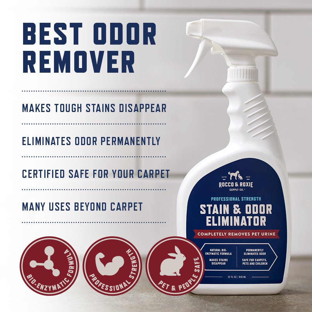 Rocco & Roxie Stain & Odor Eliminator for Strong Odor, 32oz Enzyme Pet Odor Eliminator for Home, Carpet Stain Remover for Cats & Dog Pee, Enzymatic Cat Urine Destroyer, Carpet Cleaner Spray