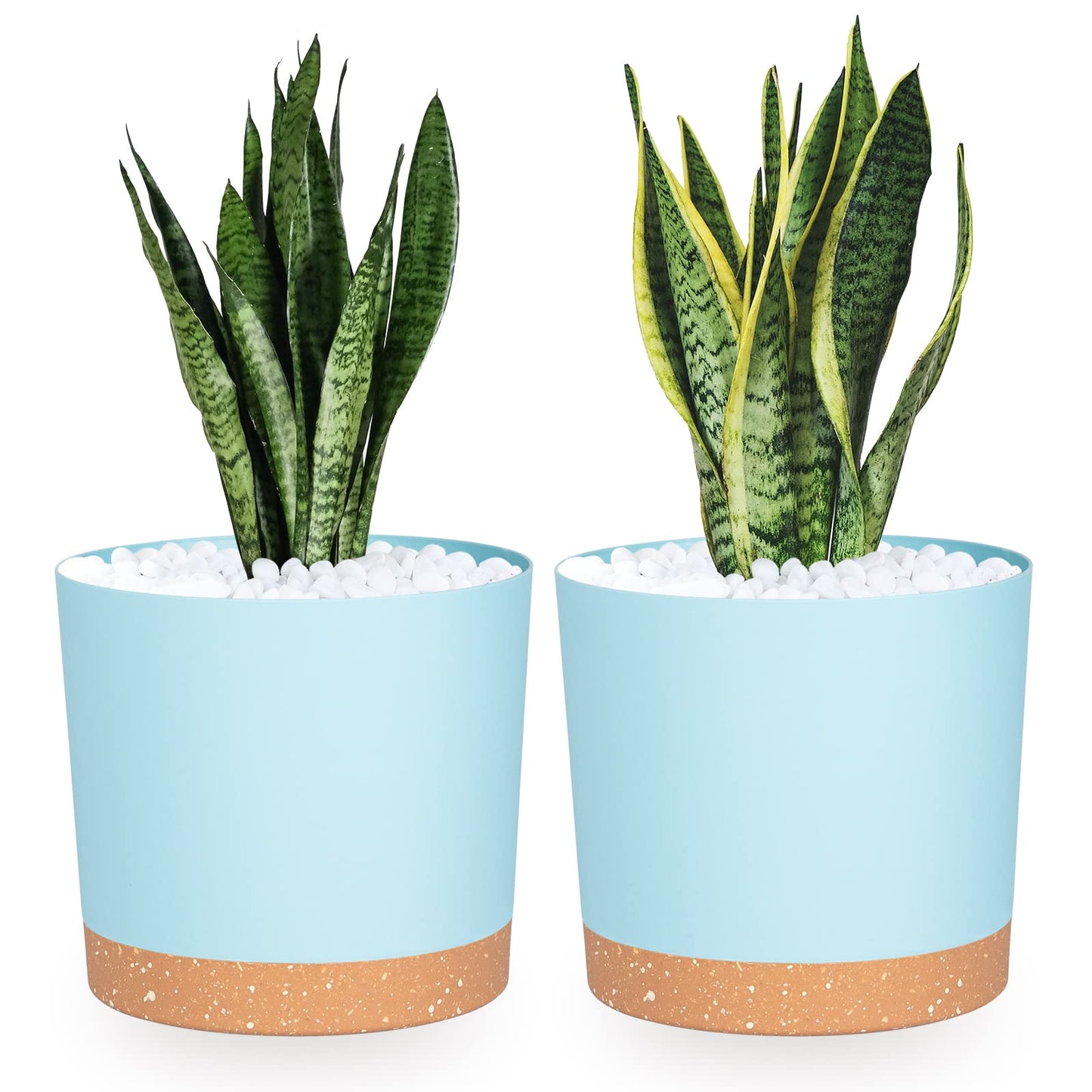 QCQHDU 6.5 inch Plant Pot, 2 Pack Planters for Indoor Plants with Drainage Holes & Saucer, Outdoor Flower Pots Home Garden Modern Decor