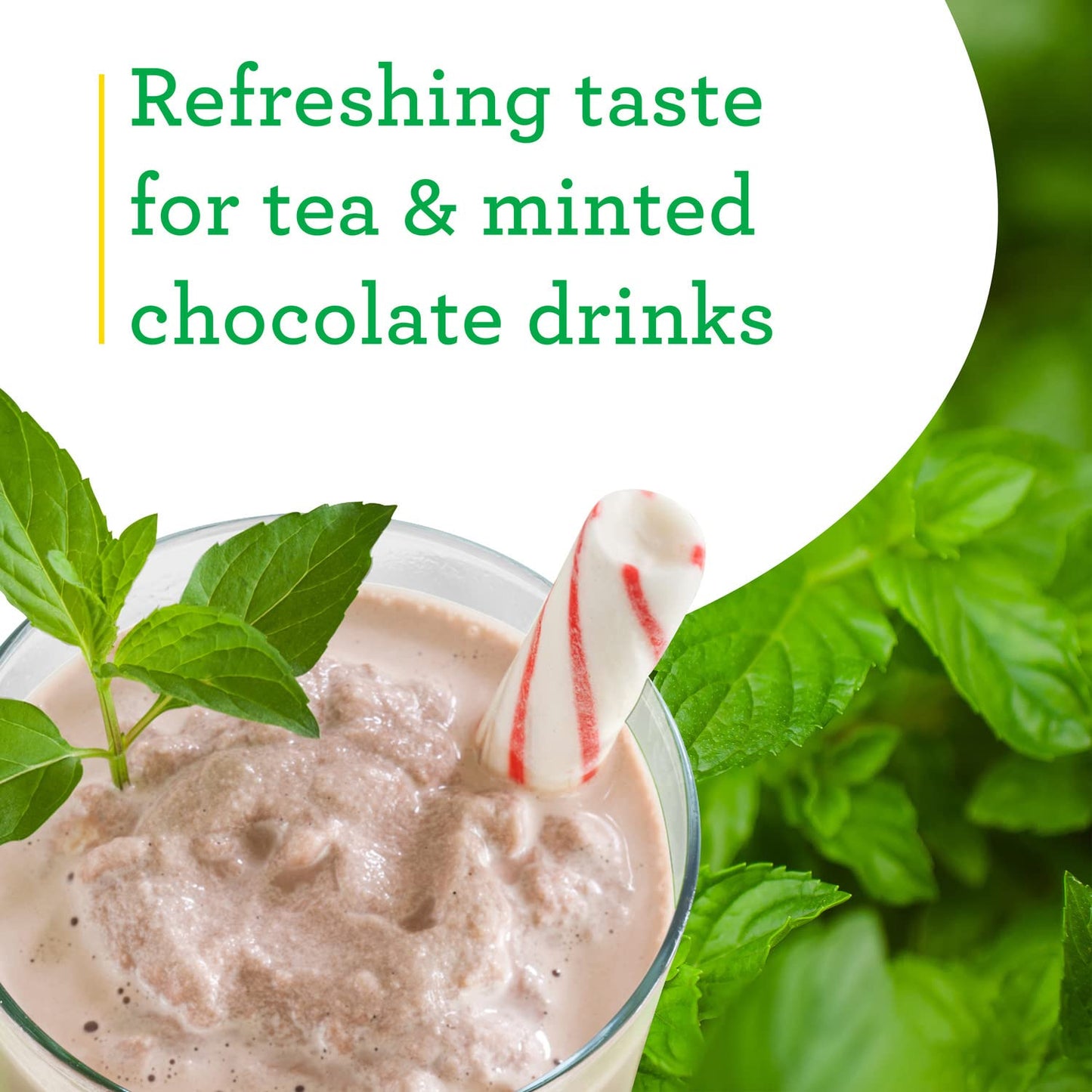 Bonnie Plants Peppermint Live Edible Aromatic Herb Plant - 4 Pack, Pet Friendly, Low Light, Part Shade