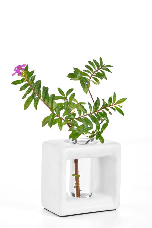 ORGJ Ceramic Propagation Station - 2-in-1 Water Propagation Vase & Aroma Diffuser for Plants, Geometric Propagation Tubes with Plant Rooting Containers, Modern White Decor