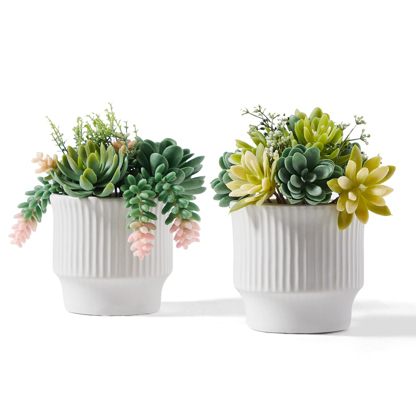 ASTRIDIA Artificial Succulent Plants, Faux Assorted Succulents Fake Plants in White Ceramic Pots for Home Decor, Bedroom, Office, Desk, Living Room, Set of 2