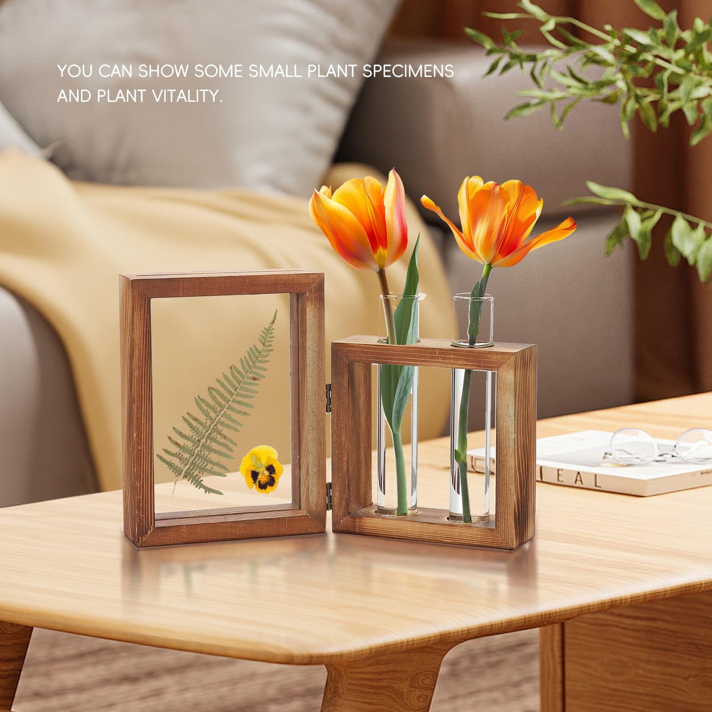 LCFALO Plant Propagation Stations, Propagation Vases for Plants with Photo Frame and Glass Planters Indoor Plant Stand Hydroponic Propagation Stations Tabletop Home Kitchen Office Decor