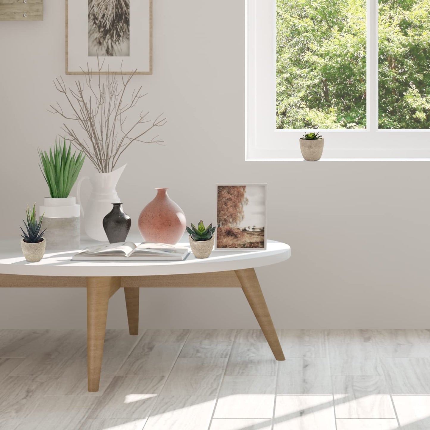 Coitak Artificial Succulent Plants Potted, Assorted Decorative Faux Succulent Potted Fake Cactus Cacti Plants with Pots, Set of 5