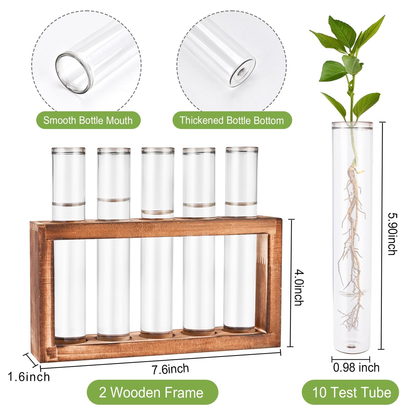Tigvio 2pcs Desktop Glass Plant Propagation Station with 10 Test Tubes in Wooden Stand - Hydroponic Plants Cutting Office Home Decoration and Garden Decor Terrarium (10 Tubes)
