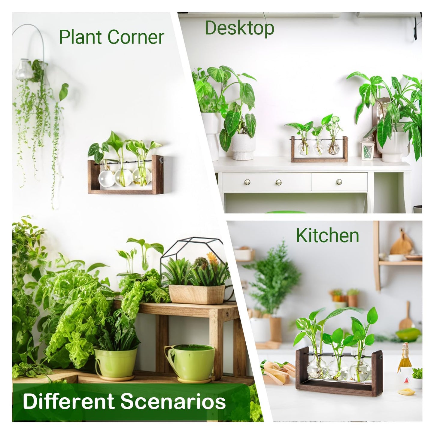 Ivolador Wall Hanging Plant Propagation Station,Bulb Plant Terrarium with Wooden Stand,Unique Gardening Gifts for Women Plant Lovers,Hydroponic Indoor Planter Home Office Decor-3 Bulb Glass Vases