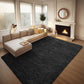 Ophanie Area Rugs for Bedroom Living Room, Grey Fluffy Fuzzy Shag Shaggy Soft Plush Carpet, 4x6 Indoor Floor Gray Rug for Kids Home Dorm Decor Aesthetic