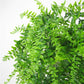 Musdoney Artificial Plants Boston Ferns Fake Vines Hanging Ivy Decor Plastic Greenery for Wall Indoor Outdoor Hanging Baskets Wedding Garland Decor