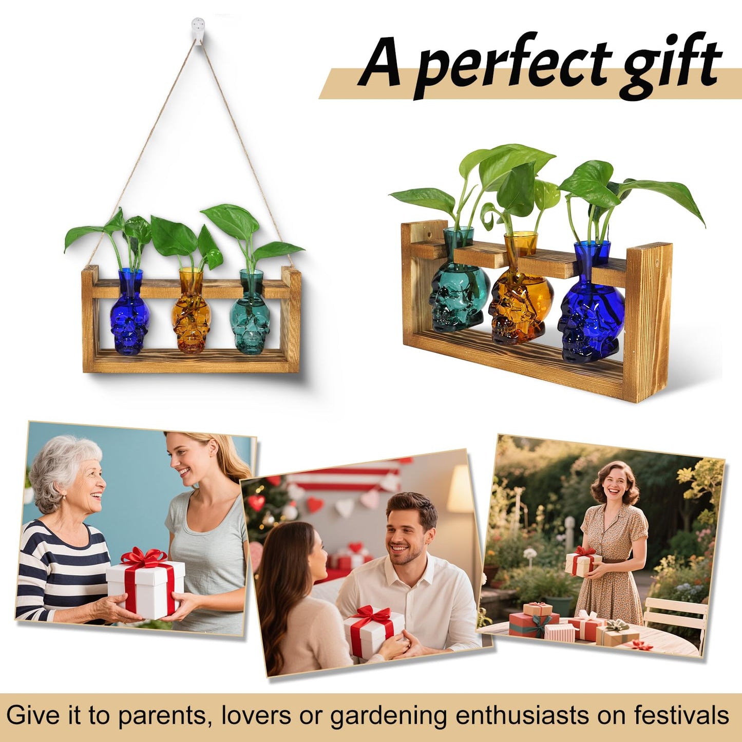 Plant Terrarium Propagation Stations Hydroponics Planter Vase Skulls Decor with Wooden Stand Gift (3*Mixed Color)